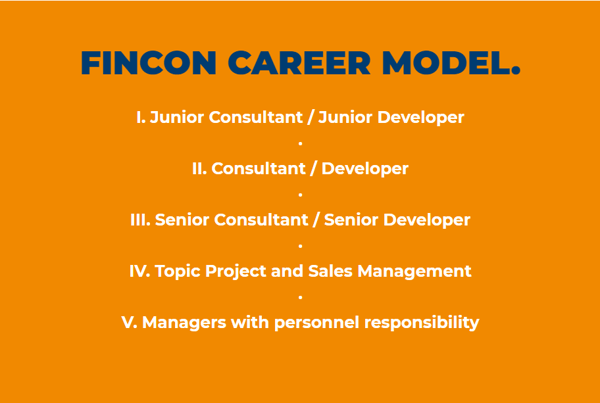 fincon career model